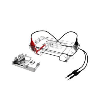 Horizontal Electrophoresis Tank BK-HET01