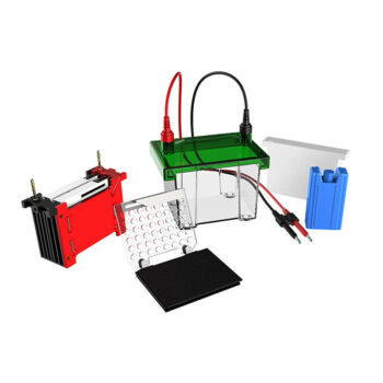 Western Blot Electrophoresis Tank BK-TET01